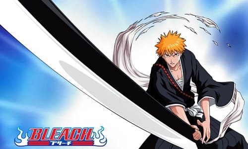 Bleach anime series end on March