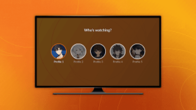 crunchyroll multi profile example visual